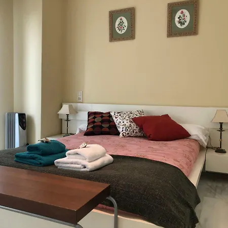 Atico Duplex Plaza De La Trinidad Granada